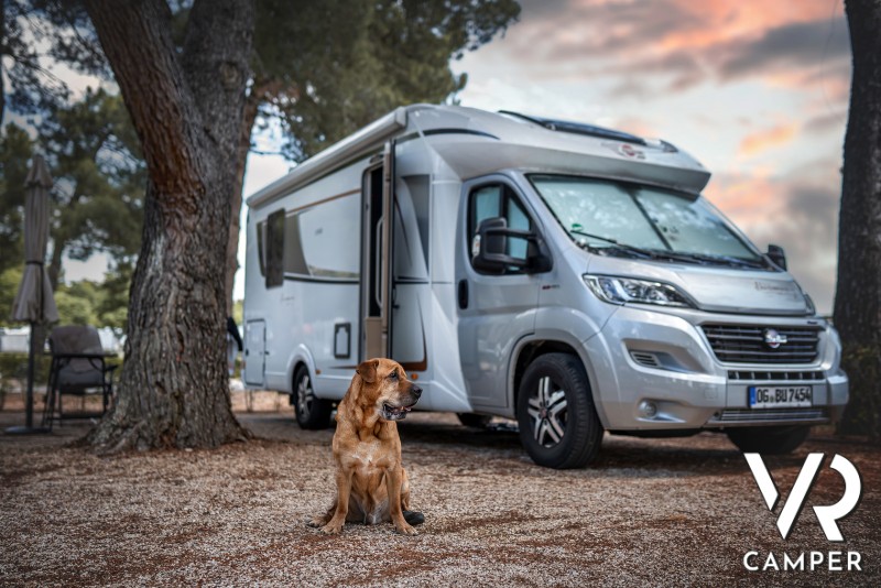 cane seduto davanti ad un camper