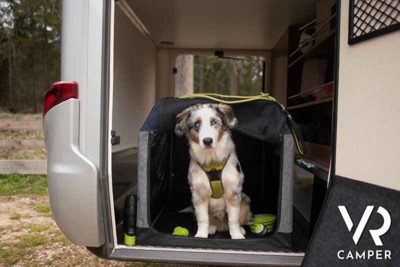 cane nella sua cuccia nel garage del camper