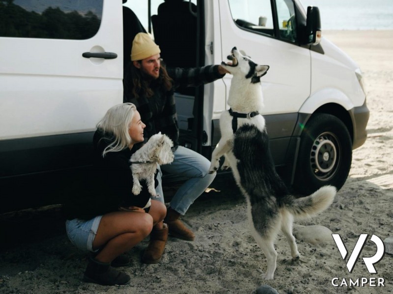 Uomo e donna giocano con due cani davanti al van