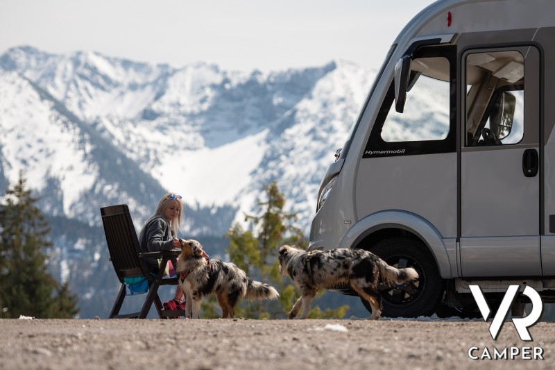due cani giocano con una donna seduta davanti a camper motorhome