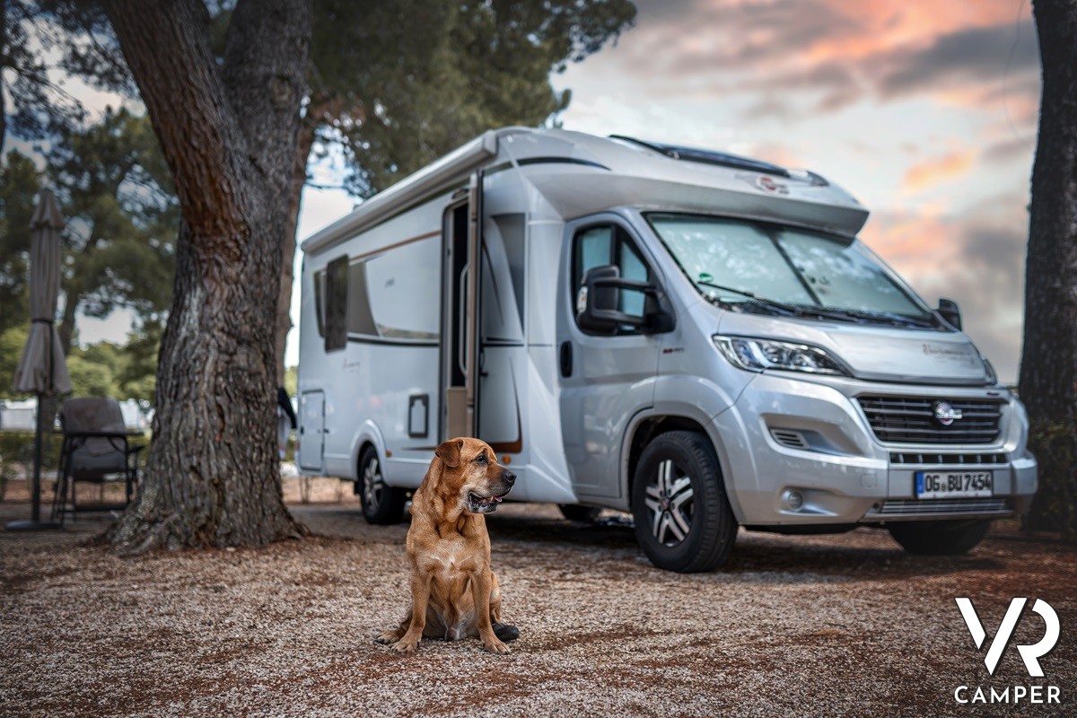Cane seduto davanti a camper semintegrale