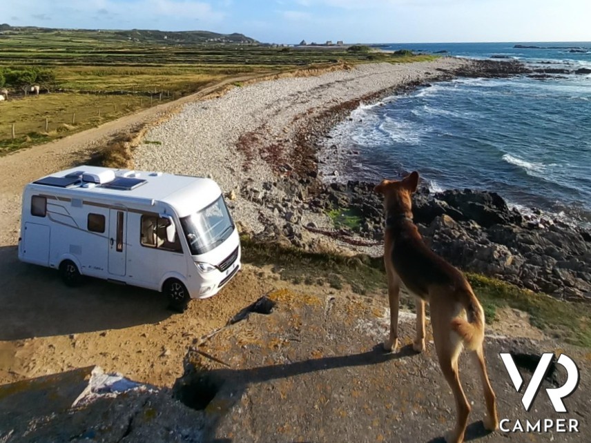 camper motorhome in riva al mare con cane